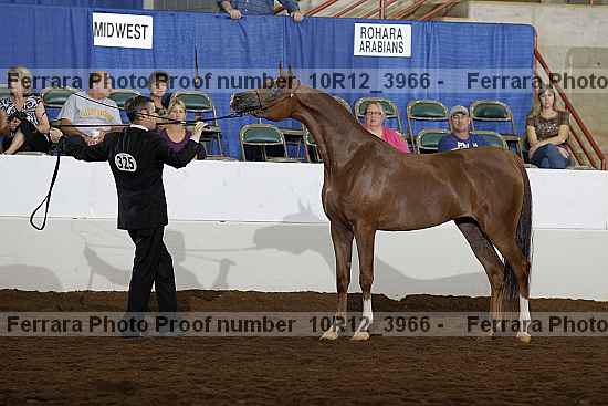 Proof 10r12_3966