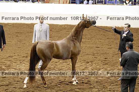 Proof 10r12_3967