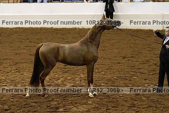 Proof 10r12_3969
