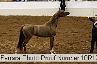 10r12_3969 proof