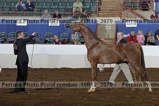 Proof 10r12_3970