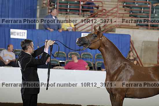Proof 10r12_3971