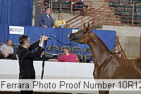 10r12_3971 proof