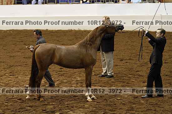Proof 10r12_3972