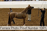10r12_3972 proof