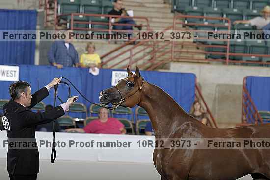 Proof 10r12_3973