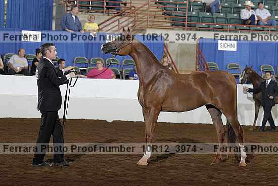 Proof 10r12_3974