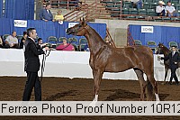 10r12_3974 proof