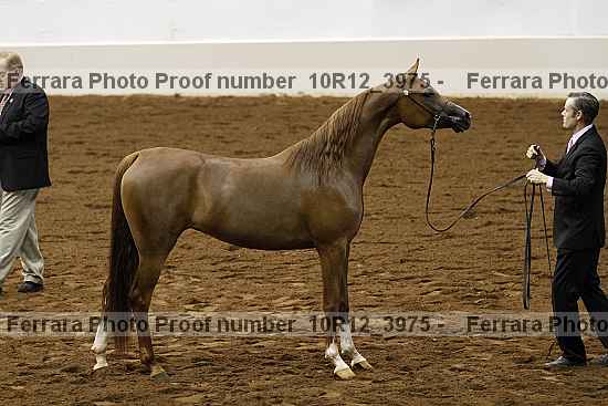 Proof 10r12_3975