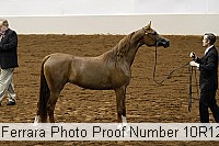10r12_3975 proof