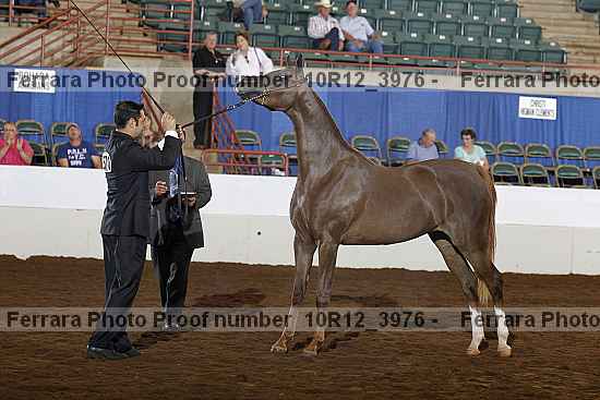 Proof 10r12_3976