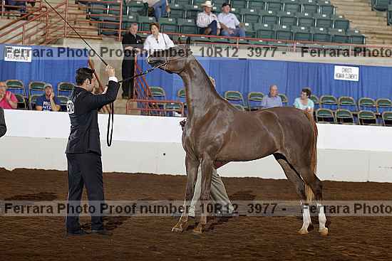 Proof 10r12_3977
