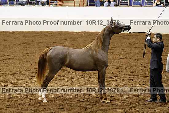 Proof 10r12_3978