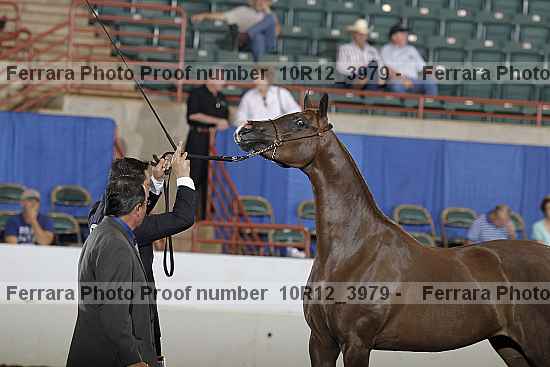 Proof 10r12_3979
