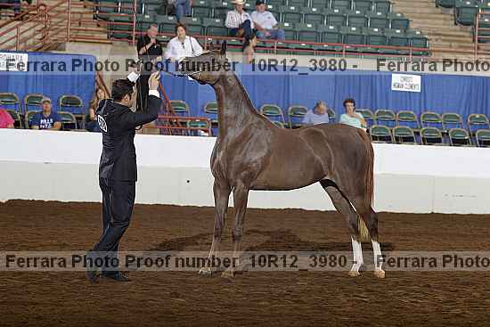 Proof 10r12_3980