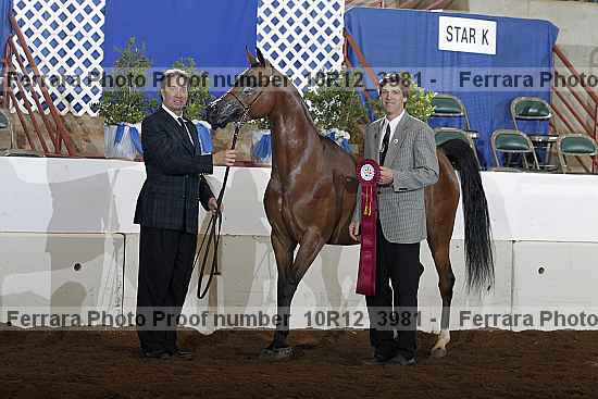 Proof 10r12_3981
