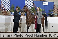 10r12_3981 proof