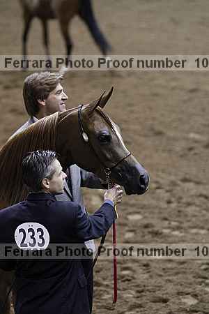 Proof 10r12_3983