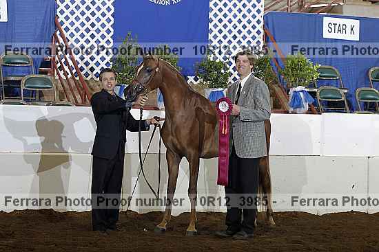 Proof 10r12_3985