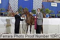 10r12_3985 proof