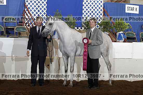 Proof 10r12_3987