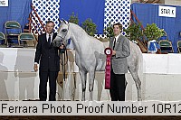 10r12_3987 proof