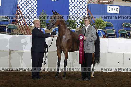 Proof 10r12_3989