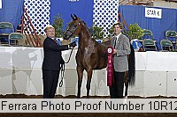 10r12_3989 proof