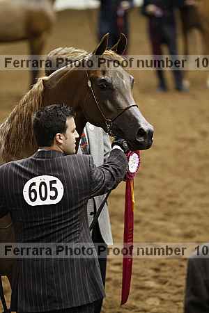 Proof 10r12_3991