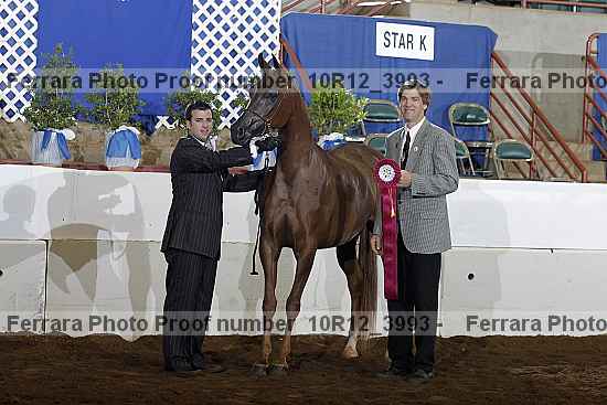 Proof 10r12_3993