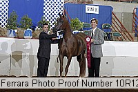 10r12_3993 proof