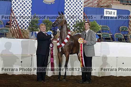 Proof 10r12_3995