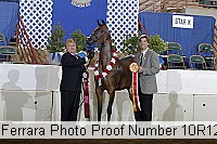 10r12_3995 proof