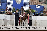 10r12_3996 proof