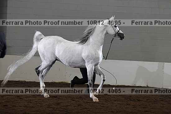 Proof 10r12_4005