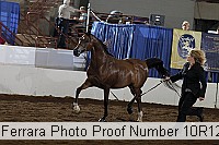 10r12_4007 proof
