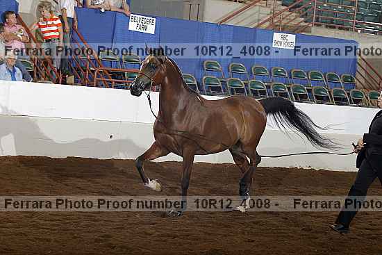Proof 10r12_4008