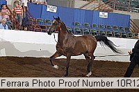 10r12_4008 proof