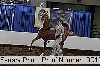 10r12_4012 proof