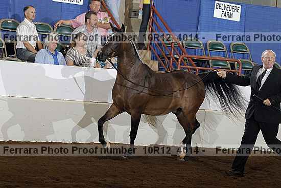 Proof 10r12_4014
