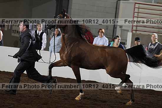 Proof 10r12_4015