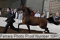 10r12_4015 proof