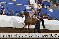10r12_4017 proof