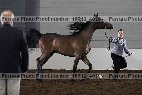 Proof 10r12_4019