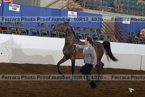 Proof 10r12_4020
