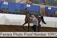 10r12_4020 proof