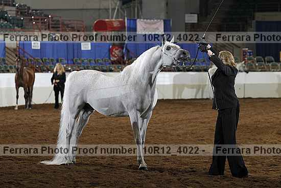 Proof 10r12_4022