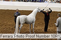 10r12_4024 proof