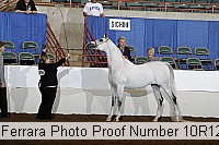 10r12_4028 proof