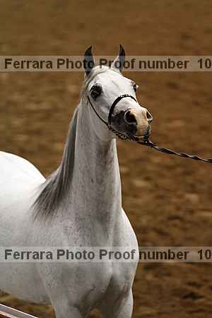 Proof 10r12_4029